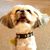 Barbara Bestgen Austin's profile image