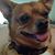 Sandy Mendica Ivie's profile image