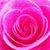 Alesha Jefferson's profile image