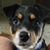 Kathleen Hopkins Riggs's profile image