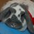 Phyllis Hassett's profile image