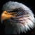 Mike Gress's profile image