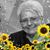 Robin Peters's profile image