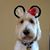 Mary Wieser Cajigas's profile image