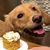 Sara Beth's profile image
