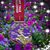 Amy Gerbitz Matenaer's profile image