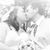 Carri A. McGeehan's profile image