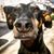 Christy Cichra's profile image