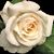 Janet Sharp's profile image