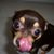 Stephanie Daniel's profile image