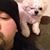 Bruce Weldon's profile image
