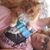Donna Umansky's profile image