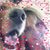 Eddie Stumbaugh's profile image