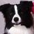 Bobbie Howell's profile image