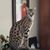 Linda Legard Kidman's profile image