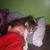 Jillian Daulerio Horn's profile image
