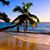 Carol Eckbold's profile image