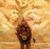 Charles Danner's profile image