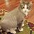 Kim Gunder's profile image