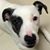 Kim Metty's profile image