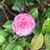 Vandana G Bharadwaz's profile image