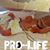Melissa Slaton's profile image