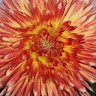 Kathy T.'s profile image