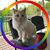Janey Wend Boney's profile image