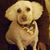 Cobi Dargan's profile image
