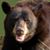 William Fleischman's profile image