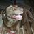 Carole T Golitko's profile image