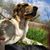 Kathy Omeara's profile image