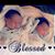 Kathy Chalupa-Gniadek's profile image