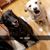 Lori Marshall Neisner's profile image