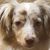 Steve Bennett's profile image