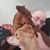 Paul Kuntz's profile image