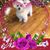 Gloria Tracy's profile image