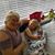 Deb Dronen Pasdertz's profile image