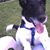 Diane Rensvold's profile image