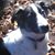 Valerie Parton's profile image