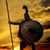 Shawn Friel's profile image