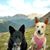 Stacy Moller-Kiernan's profile image