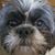 Lori Boyer's profile image
