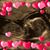 Tiffany Michelle Whitaker's profile image