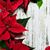 Maria Socorro Carlos's profile image