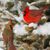 Karen Lynn Kearney's profile image