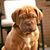 Jeanie Coe's profile image