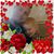 Sherry C. Janey's profile image