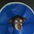 Arielle Mckeiver's profile image