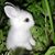 Sheila McAndrews Toomey's profile image